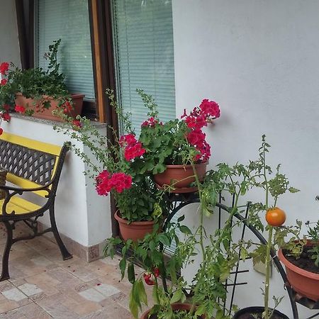 Darja Guesthouse Dob Exterior photo