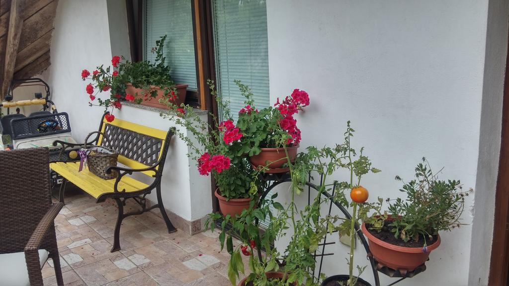 Darja Guesthouse Dob Exterior photo