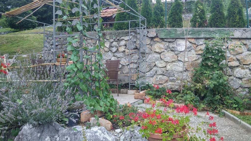 Darja Guesthouse Dob Exterior photo